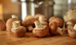 mushroom health